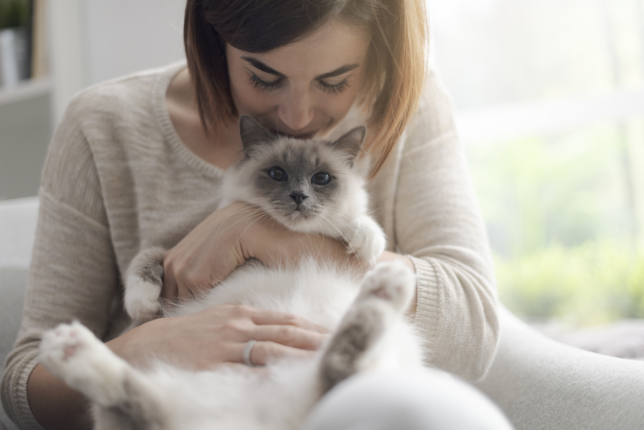 8月8日は「世界猫の日」。 猫アレルギー持ちが愛猫と暮らす4つの対策とは